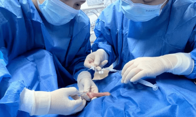 Kỳ tích: Em bé sinh non 330 gram vượt 