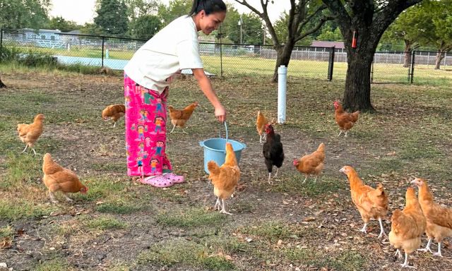 Nữ ca sĩ Việt sinh năm 1978 qua Mỹ hơn 20 năm vẫn nổi tiếng, thích trồng rau, nuôi gà trong ngôi nhà 1.400 m2