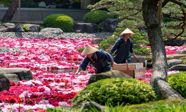 Không phải Tokyo hay Osaka: Nhật Bản mùa thu ở Chugoku & Shikoku mới là cực phẩm