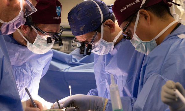 Chấn động y tế: Virus dại “ẩn mình” trong quả thận hiến, bệnh nhân tử vong sau 6 tuần ghép tạng