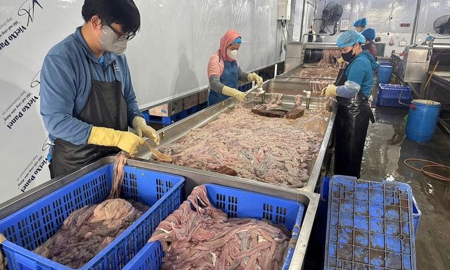 NÓNG: Phát hiện hơn 60 tấn lòng lợn cấp đông nửa năm, bốc mùi hôi thối chuẩn bị tuồn ra thị trường