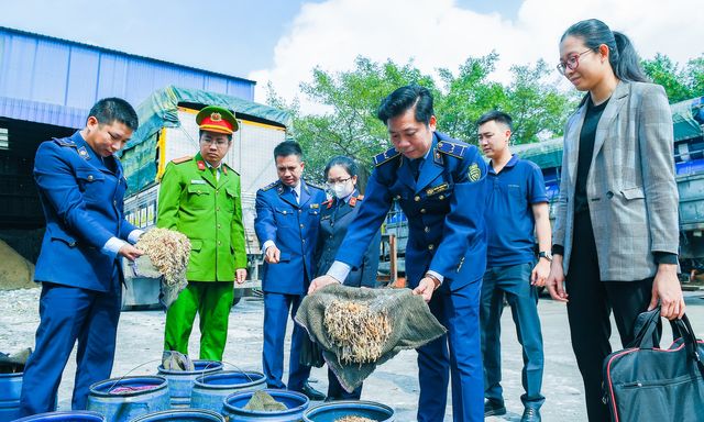 Nguy hại từ chất độc giúp giá đỗ 