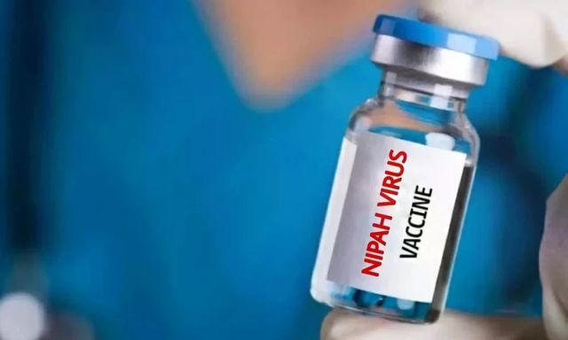 Virus tử thần có tỷ lệ tử vong tới 75% sắp có “lá chắn”: Nhật Bản thử nghiệm vaccine Nipah, cả châu Á nâng cảnh giác