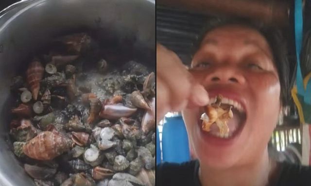 Câu view bằng mukbang “cua quỷ” chứa độc tố cực mạnh, nữ vlogger tử vong sau 48 giờ: Cảnh báo chết người từ loài giáp xác sặc sỡ