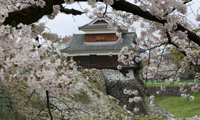 Mùa xuân gõ cửa Kyushu: Săn hoa anh đào sớm nhất Nhật Bản dành cho tín đồ du lịch