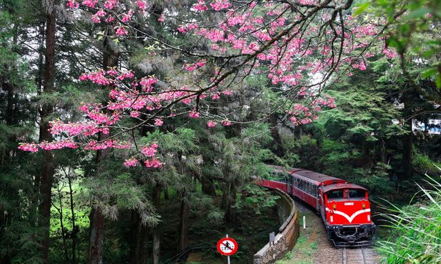 Không chỉ có Thập Phần, Cửu Phần, xứ Đài còn có những điểm dừng chân hút dân du lịch thích “sống chậm”