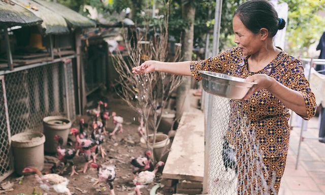 70% người Việt dự kiến làm việc sau nghỉ hưu, tại sao?