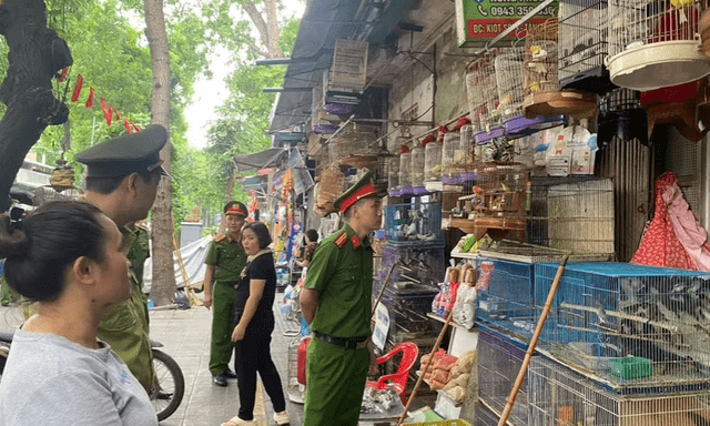 Hà Nội: Công an kiểm tra 3 hộ kinh doanh, thu giữ rất nhiều cá thể chim không rõ nguồn gốc