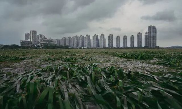  Từ tham vọng 700.000 dân đến 'thành phố ma': Siêu dự án 100 tỷ USD giờ thành nơi các đường dây lừa đảo ẩn náu