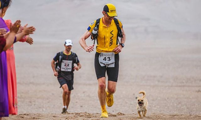 Chú chó hoang chạy 125 km xuyên sa mạc theo chân VĐV siêu marathon rồi đột ngột mất tích: Cái kết sau 9 năm gây bất ngờ
