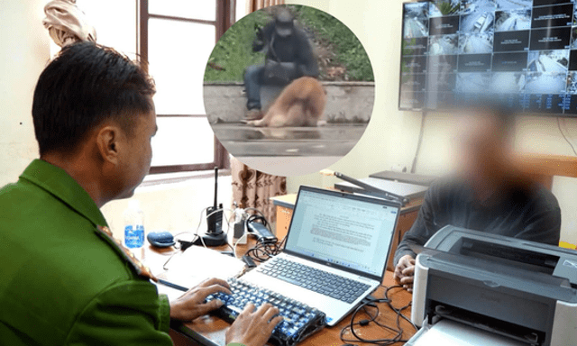 Củng cố hồ sơ xử lý người đàn ông bạo hành chú chó Alaska giữa Quảng trường Lâm Viên do 'bực vì chó không nghe lệnh'