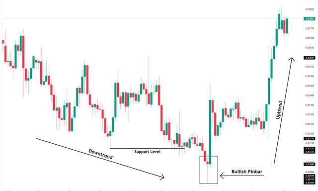 Nến Pin Bar là gì? Cách nhận diện và giao dịch Pin Bar hiệu quả trong Tài chính, Crypto, Futures