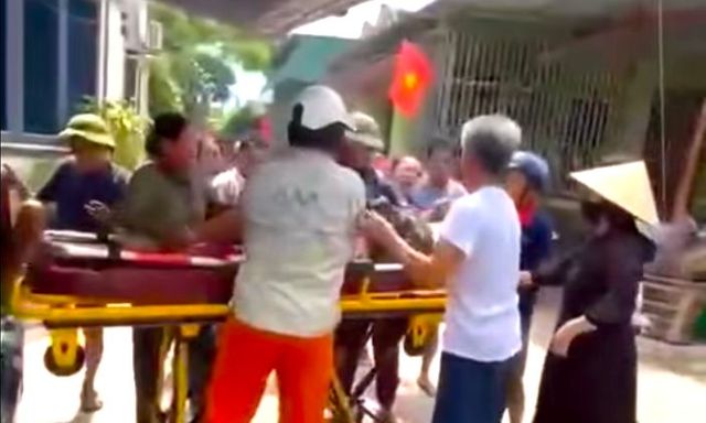 Nghệ An: Người đàn ông bị ong đốt tử vong khi đi cắt cỏ