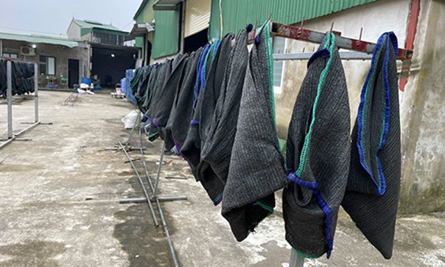 Nghệ An: Kiểm tra địa điểm sản xuất giá đỗ từng bị khởi tố 