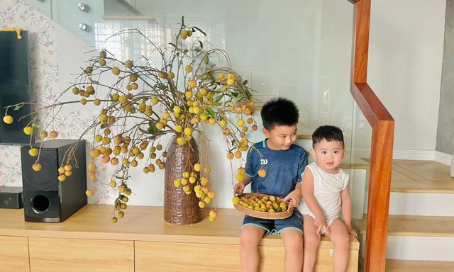 Ngôi nhà đẹp từng minlimet ở Nghệ An khiến nhiều người trầm trồ