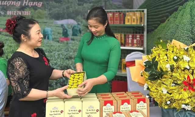 Hành trình ba năm đưa Trà Sen Ngọc Tỉnh Liên từ dấu ấn địa phương đến sản phẩm tiêu biểu cấp quốc gia