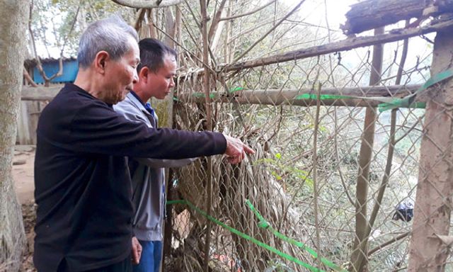 Nghệ An: Sông Vòng 'nuốt đất', hàng chục hộ dân sống thấp thỏm