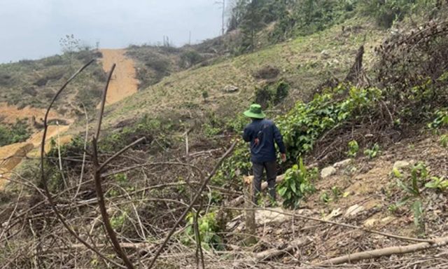 Tái khởi động dự án khai thác vàng tại 'thủ phủ đá đỏ'