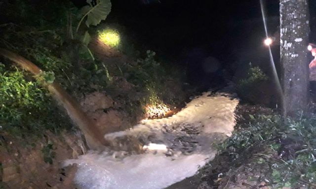 Nghệ An: Ngửi thấy mùi hôi thối, dân phát hiện trại lợn xả thải trong đêm