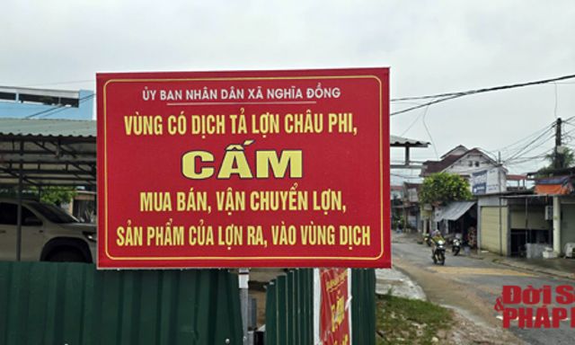 Nghệ An: Một xã thông báo tạm dừng giết mổ, buôn bán sản phẩm về lợn do dịch bệnh