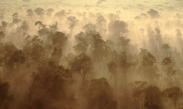 Rừng châu Phi chính thức đảo ngược: Từ lá phổi xanh thành nguồn phát thải carbon