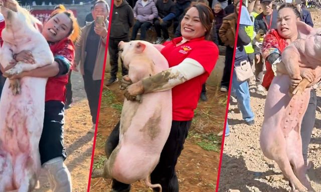 Người phụ nữ Trung Quốc gây sốt khi tay không thắng 22 cuộc thi bắt lợn chỉ trong một năm