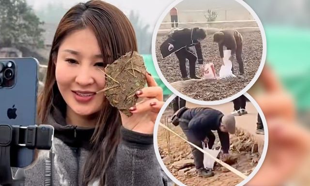 Kiếm gần 1 triệu đô nhờ mổ lợn, cô gái trẻ khiến đất quanh nhà hóa bùa hộ mệnh bán giá đắt hơn vàng