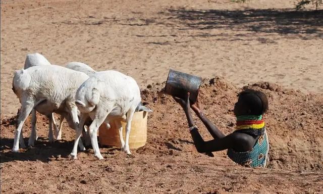 Bí mật tiến hóa giúp bộ tộc Kenya sống sót gần như không cần nước nhưng lại trở thành nguy cơ chết người hiện đại
