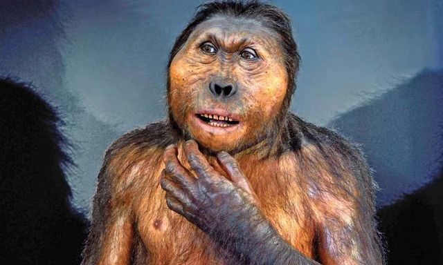 Loài Paranthropus đã cùng tồn tại với con người trong 850.000 năm, nhưng lại không để lại hậu duệ nào: Lực cắn cực mạnh chính là nguyên nhân dẫn đến sự tuyệt chủng của chúng