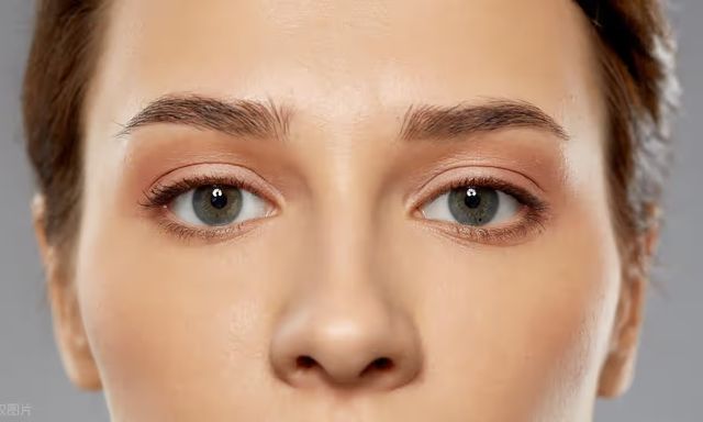 Vì sao tự nhiên lại độc lập phát triển và tiến hóa đi tiến hóa lại đôi mắt đến hơn 40 lần?