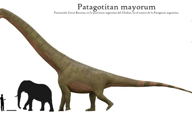 Lộ diện “quái vật” 77 tấn dài 40 mét: Khủng long Patagotitan thách thức danh hiệu sinh vật lớn nhất từng tồn tại
