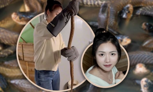 Bỏ phố về làng nuôi 60.000 rắn độc, cô gái Trung Quốc khiến mạng xã hội sửng sốt với thu nhập tiền tỷ