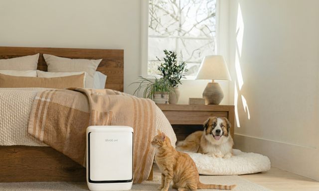 Levoit Vital Pet Pro ra mắt tại Việt Nam: Máy lọc không khí tự “gom” lông thú, xử lý cả mùi hôi