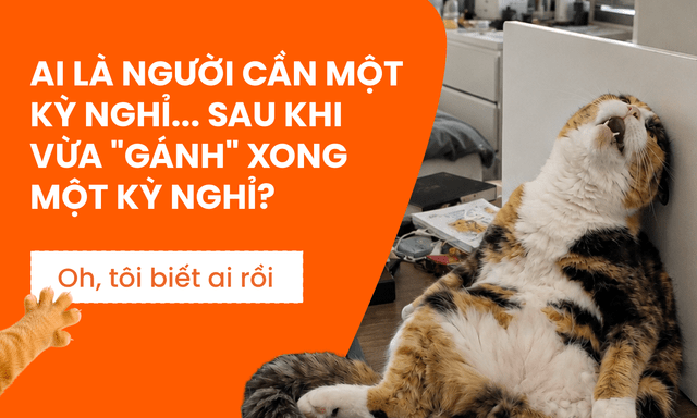 Tìm 5 “người gánh team” du lịch mệt mỏi nhất để đưa sang Thụy Sĩ