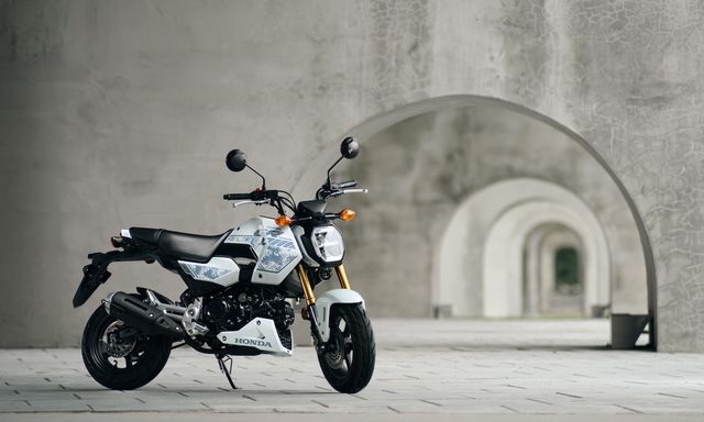 Honda MSX GROM 2027 tung bản rằn ri độc lạ khiến dân chơi xe côn tay tí hon phát sốt