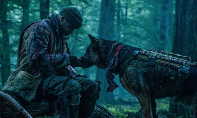Heart of the Beast: Một người một chó, họ không đơn thuần là chủ và tớ, mà là những người anh em đồng chí thực sự