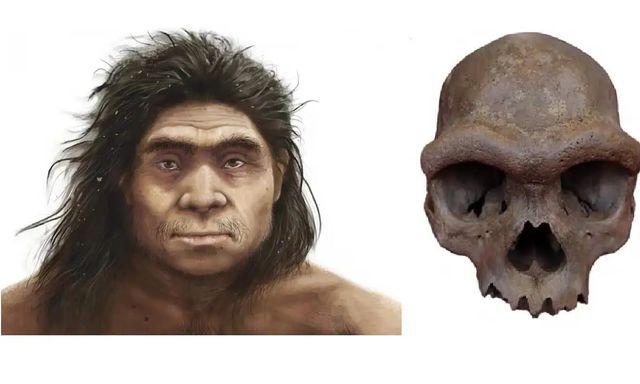 Giải mã bí mật chấn động về dung mạo người Denisovan: Nhánh nhân loại bí ẩn đã lộ diện