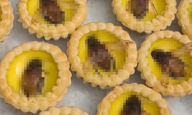 Bánh tart trứng phủ bọ nước giống gián khổng lồ gây tranh cãi tại Trung Quốc