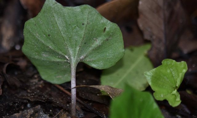 Việt Nam sở hữu 