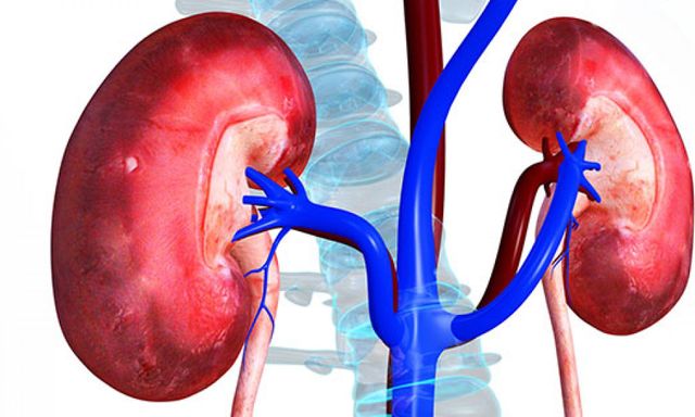 Bác sĩ tiết niệu cảnh báo: Nhiều quả thận bị hỏng “oan uổng” chỉ vì những sai lầm rất phổ biến