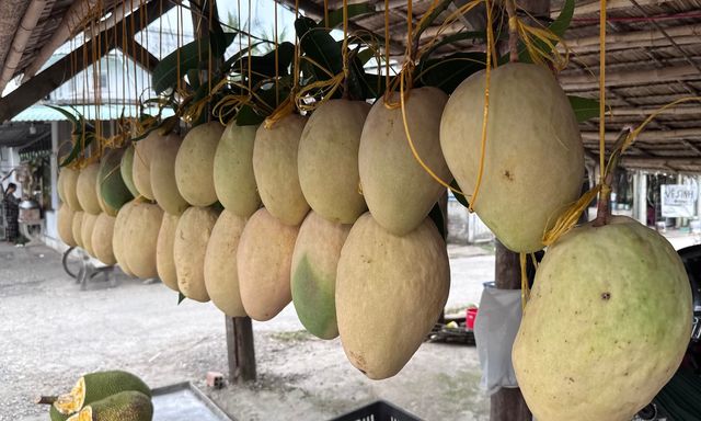 Xuất hiện loại xoài 