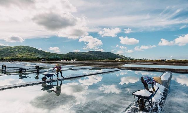 Loại gia vị Việt Nam sản xuất được nhưng vẫn chi hàng tỷ đô nhập khẩu, có rất nhiều tác dụng trong y học