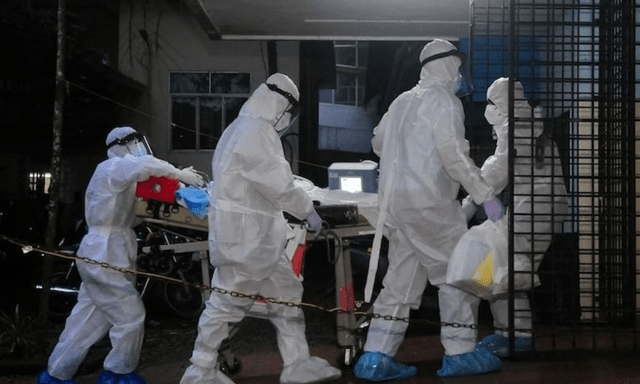 Bộ Y tế chỉ đạo khẩn về vi rút Nipah