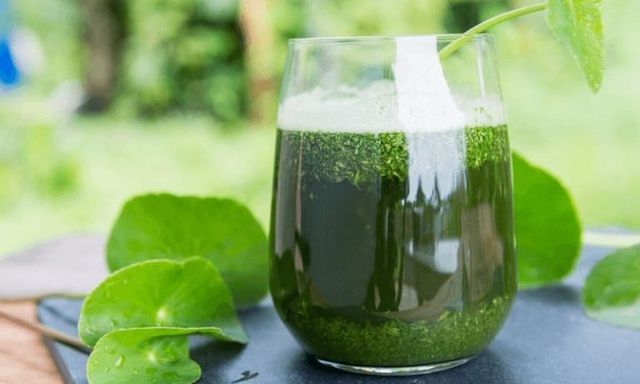 5 loại nước giúp giảm say rượu và bảo vệ gan