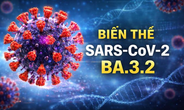 Biến thể Covid-19 “Ve sầu” xuất hiện tại hơn 20 quốc gia trên thế giới: CDC Hà Nội khuyến cáo 
