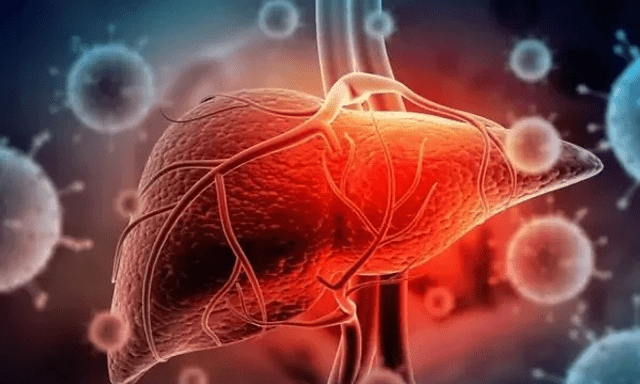 Thói quen biến “thuốc bổ” thành “chất độc” với lá gan của nhiều người Việt: Bác sĩ cảnh báo khẩn 