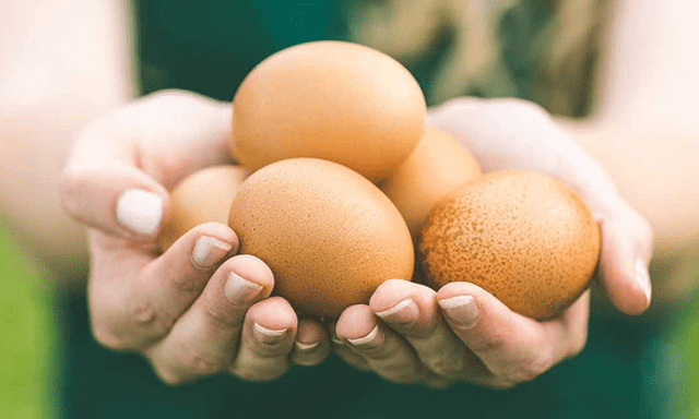 Ăn trứng mỗi ngày có làm tăng mỡ máu? Bác sĩ nói rõ sự thật nhiều người hiểu sai