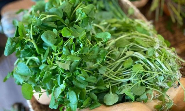 Việt Nam có 3 loại rau 