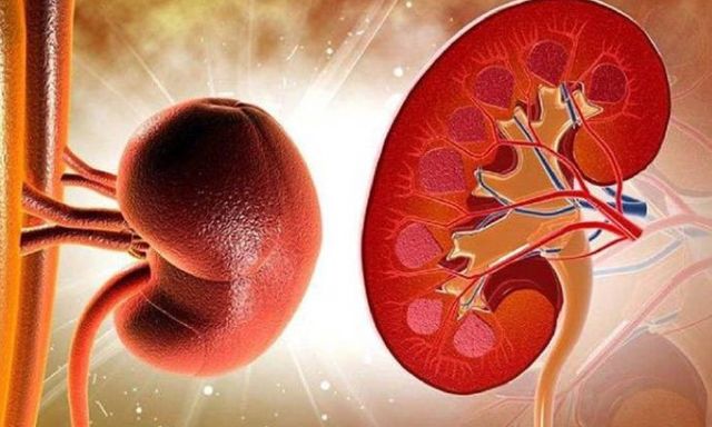 Người đàn ông phải cấp cứu vì suy thận cấp: Cảnh báo 1 kiểu uống nước nguy hiểm