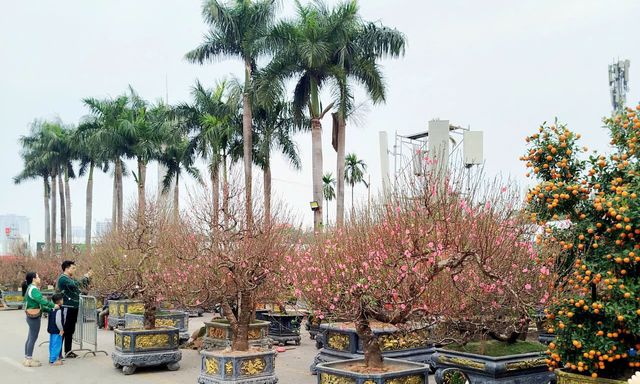 Bộ Nội vụ trình Chính phủ phương án nghỉ Tết Nguyên đán Đinh Mùi